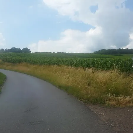 Chez Yolande Bed & Breakfast