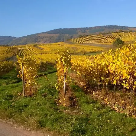 Chez Yolande Nothalten