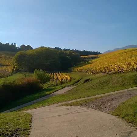 Bed & Breakfast Chez Yolande 3*